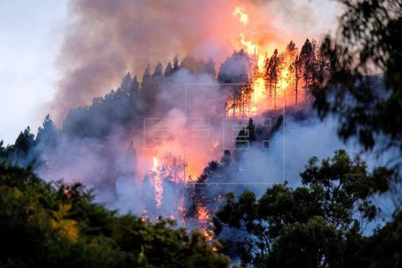 El fuego afectó a unas 12.000 hectáreas de terreno en la cumbre (Foto EFE / Ángel Medina G.)